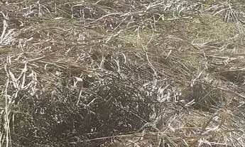 Imagem 4: TERRENO EM CONDOMINIO