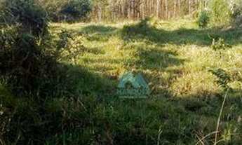 Imagem 5: Terreno para chácara com escritura