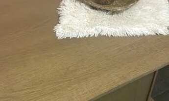 Imagem 5: Linda Casa com mobília no Itanhanga