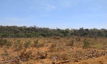 Imagem 4: Terrenos 20.000 m² MG
