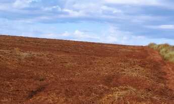 Imagem 5: Vendo sitio 7 alqueires escriturado pronto pra plantio próximo usina