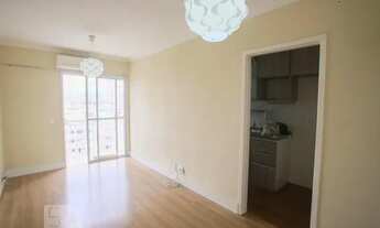 Imagem 5: Apartamento para Aluguel - Pechincha, 2 Quartos, 60 m2