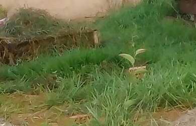 Imagem 3: Casa no paraíso do lageado