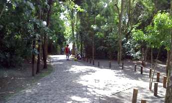 Imagem 5: Casa Térrea Royal Forest