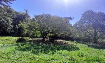 Imagem 6: Area - Bairro Tapera