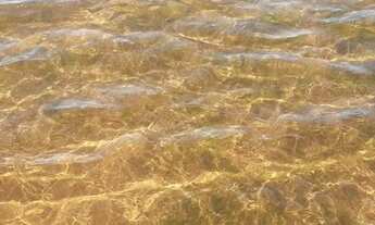 Imagem 4: ÁREA NO MANSO Terreno / lote com venda por R$380.000