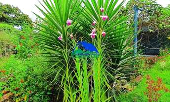 Imagem 5: Casa à venda no bairro Pocinho em Aiuruoca, MG