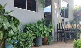 Imagem 3: Venda ou troca pego imóvel e veículo