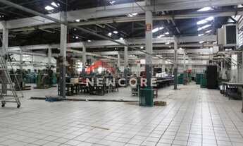 Imagem: Galpão em Rua Major Paladino - Vila Ribeiro