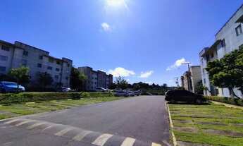 Imagem 4: /Alpinia - atrás da Bemol da Torquato