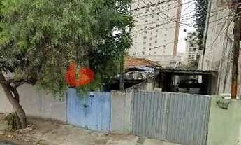 Imagem: Terreno à venda Nova Petrópolis, São