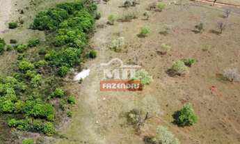 Imagem 5: Fazenda 58 alqueires (280,7 hectares) Itarumã -GO