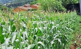 Imagem: Terreno à venda, Farropilha, Ivoti, RS