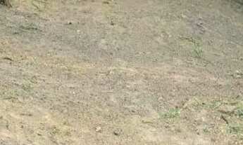 Imagem: Terreno no valpariso boa localização liga