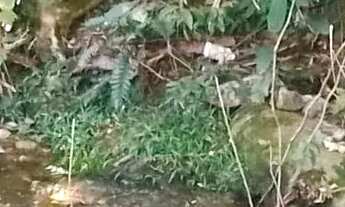 Imagem 5: Sítio para venda em Sodrelândia na Região Serrana em Trajano de Morais/RJ, 6,5 Alqueires