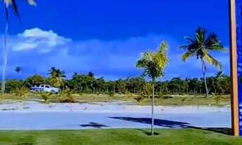 Imagem 4: LOTES - MINI CHÁCARA