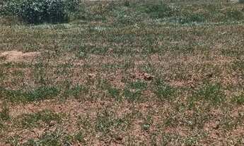 Imagem 2: Oportunidade Terreno / lote com venda por R$20.000