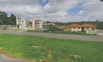 Imagem 7: Oportunidade: Terreno Amplo de 1.210 m² em São José dos Pinhais