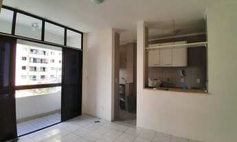 Imagem 4: ALUGO 1/4 NO RIO VERMELHO