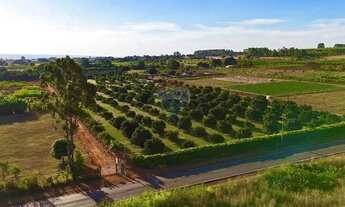 Imagem 4: Chácara com 5 Hectares à Venda Casa Ampla, Produção Agrícola e Localização Privilegiada!