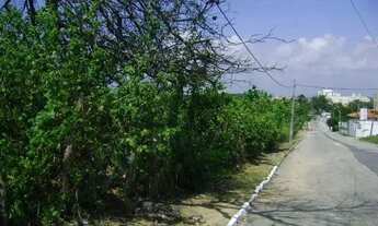 Imagem 6: TERRENO para alugar na cidade de FORTALEZA-CE