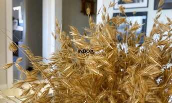 Imagem 4: AMPLO APARTAMENTO SEMI MOBILIADO DE 3 QUARTOS MAIS DEPENDÊNCIA COM BANHEIRO