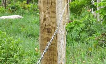 Imagem 2: Terreno de 2,75 ha, a 18 km da cidade de Caetité-BA o