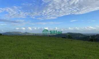 Imagem 3: Área de 5 hectares a venda a 4,5 km da 020