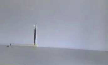 Imagem 5: AMPLO APTO 3 DORMITÓRIOS - 2 BANHEIROS - AO LADO DA ESTAÇÃO DO METRÔ MORUMBI