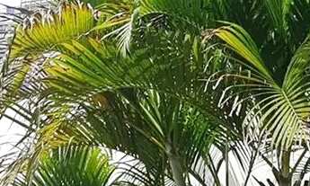 Imagem 2: Vendo apartamento no térreo com 135m2, 3 quartos, 2 suítes em Casa Caiada - Olinda - PE