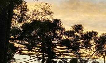 Imagem 2: Lote em condomínio em José Pedro piva - Sinoserra - Canela/RS