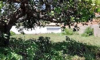 Imagem: Lote à venda em rua pública, MOSQUEIRO