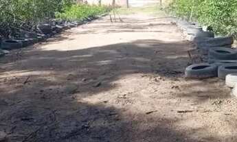 Imagem: Vende-se sítio no Timbuba fundo para o