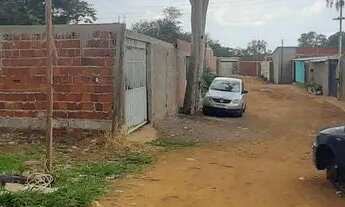 Imagem 5: Vendo / troco Lote samambaia