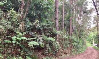 Imagem 3: Terreno Estrada Borba Gato 5 mil m2- Oportunidade R$ 100 mil