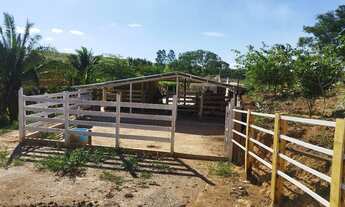 Imagem 5: Venda chácara de 27 mil metros