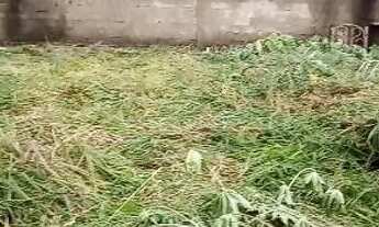 Imagem 2: VENDO LOTE ESTÂNCIA 3 300 metros Planaltina Df