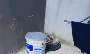 Imagem 5: Casa Geminada para comprar Florença Ribeirão das Neves