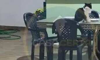 Imagem 2: Casa com 2 dormitórios à venda, 89 m² por R$ 265.000 - Residencial Morada Du Park - Uberab