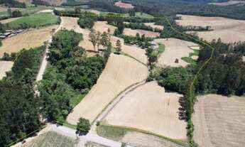 Imagem: 29.0 Ha para soja ou gado em Vitor Meireles