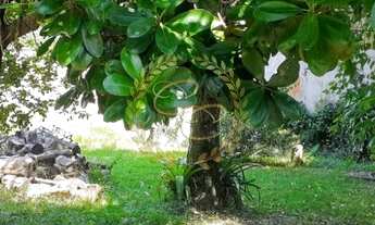 Imagem 6: Casa à venda em Bombinhas - SC