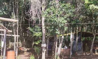 Imagem: Chácara com 2 dormitórios à venda, 20000