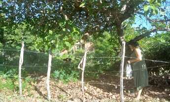 Imagem 4: Terreno na areia branca, mosqueiro