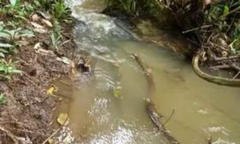 Imagem: Chácaras com córrego,cercada e energia