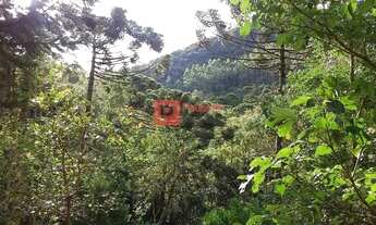 Imagem 16: Casarão no Condomínio Portal da Mantiqueira, Santo Antônio do Pinhal