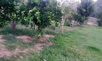 Imagem: Mini sítio Terreno com água luz arvoredo