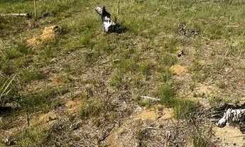 Imagem 2: Lote/Terreno para venda tem 1000 metros quadrados em Centro - Mairiporã - SP