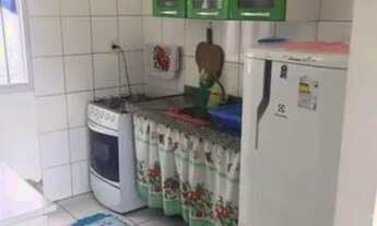 Imagem 4: APTO EM SALINAS POR TEMPORADA