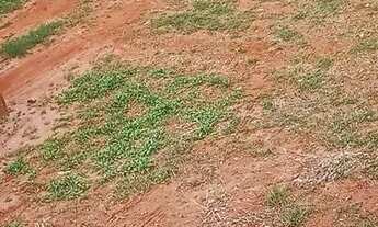 Imagem 3: Terreno. Alugo Terreno / lote com aluguel por R$1.300 /mês