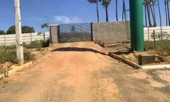 Imagem 4: Vd lote 26 de setembro 400 mtrs rua 06